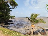 IMG_20240225_164440
