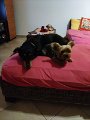 IMG_20240324_194859