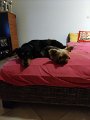 IMG_20240324_194908