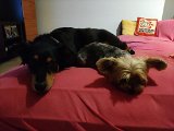 IMG_20240324_194923