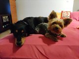 IMG_20240324_194933