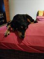 IMG_20240324_195120