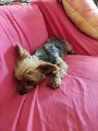 IMG_20240405_164242