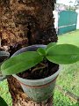 IMG_20240421_162316
