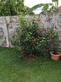 IMG_20240421_162529