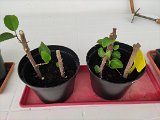 IMG_20240421_162553
