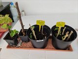 IMG_20240421_162559