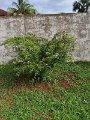 IMG_20240421_162630