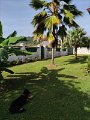 IMG_20240426_163019