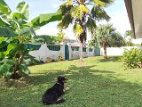 IMG_20240426_163043_4