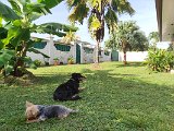 IMG_20240426_163052
