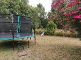 IMG_20240803_164733