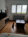 IMG_20240812_092946