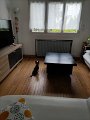 IMG_20240812_093005