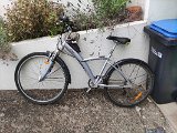 IMG_20240812_115508