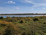 IMG_20240815_115740