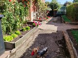 IMG_20240826_104902