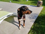 IMG_20240829_104131