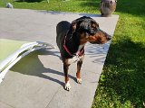 IMG_20240829_104136