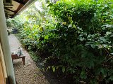 IMG_20240530_111204
