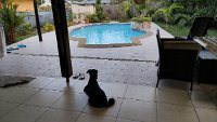 IMG-20241118-WA0017