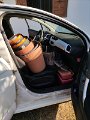 IMG_20241009_155229