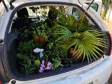 IMG_20241009_155238