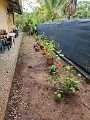 IMG_20241222_115309