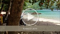 Tobago 2019