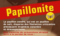 papillonite