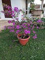 IMG_20240307_173545