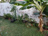IMG_20240307_173602