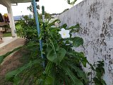 IMG_20240307_173638