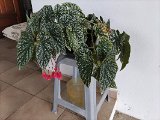 IMG_20240307_174134