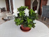 IMG_20240307_174156