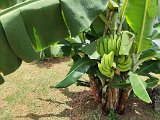 IMG_20240309_122220