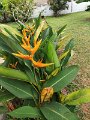 IMG_20240323_131404