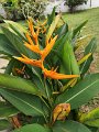 IMG_20240323_131413